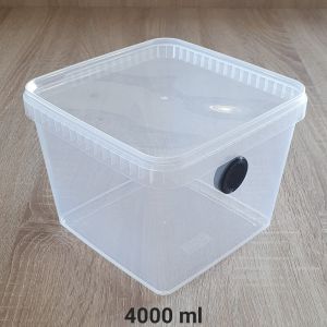 4000ml